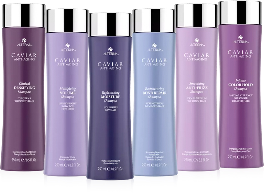 Alterna Shampoo